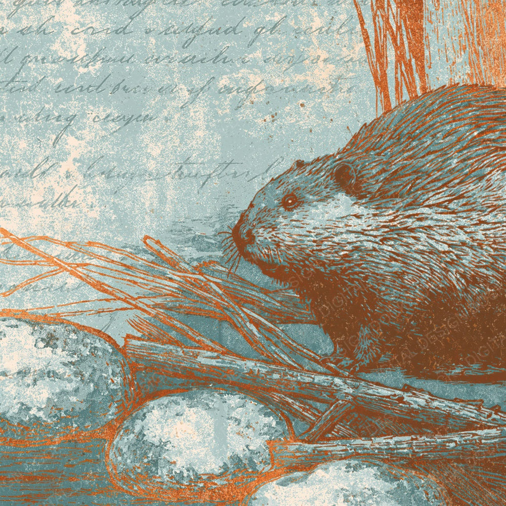 Woodblock Beaver Stone Walnut Digital Paper Pack (DDD012612)