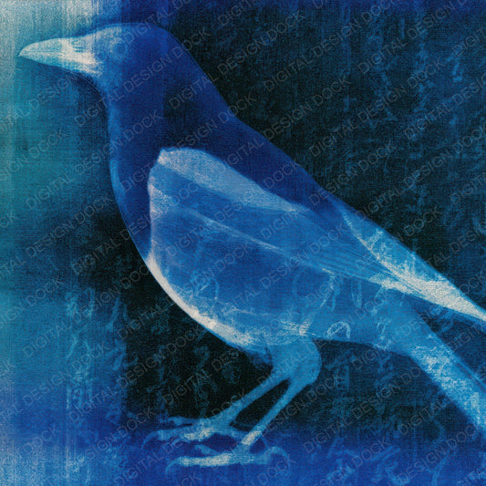 X Ray Magpie Sapphire Navy Digital Paper Pack (DDD012623)