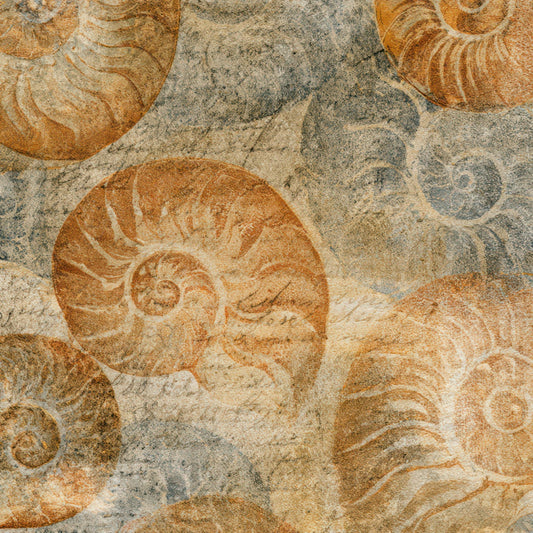 Monoprint Nautilus Sepia Parchment Digital Paper Pack (DDD012991)
