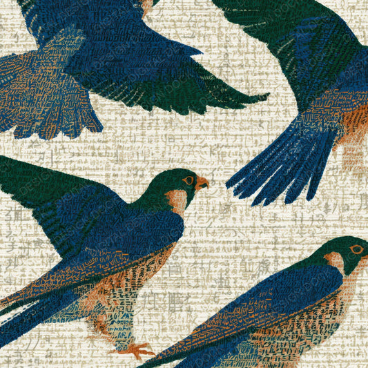 ASCII Falcons Azure Cypress Bone Digital Paper Pack (DDD013146)