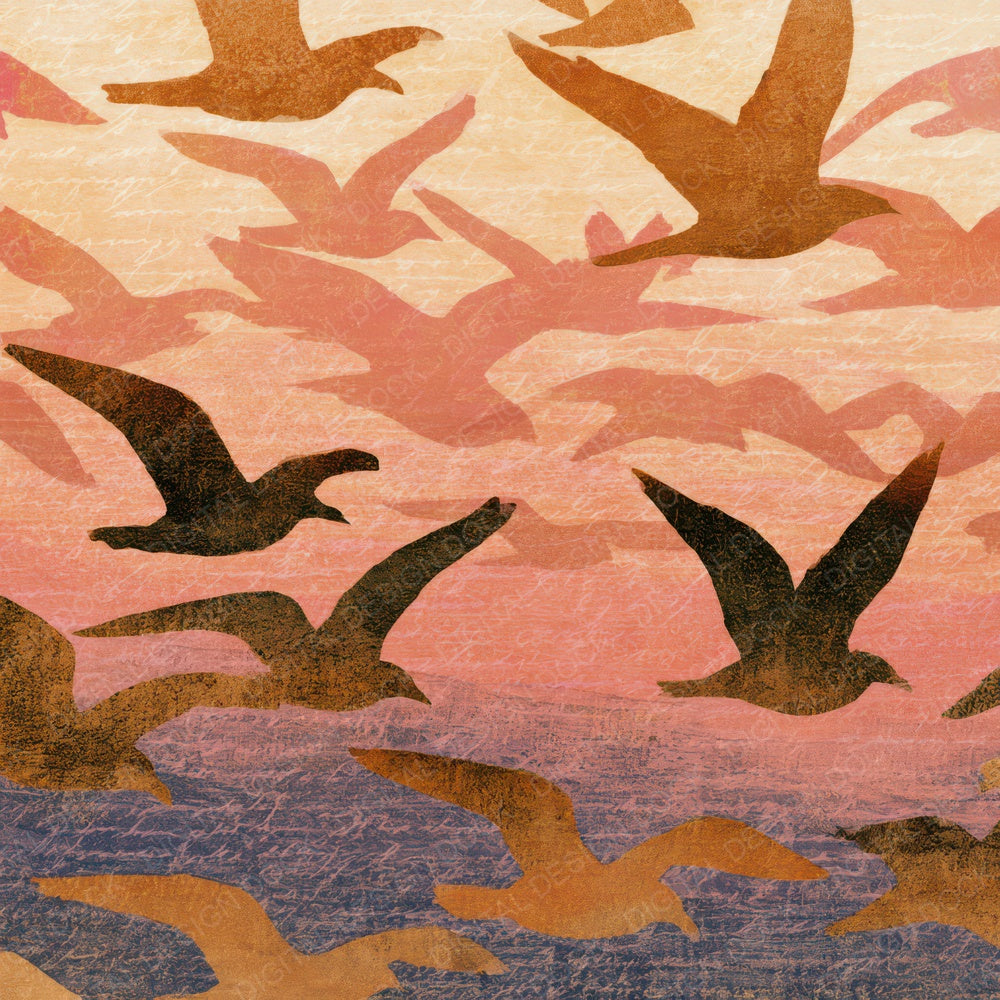 Etching Gulls Apricot Rose Digital Paper Pack (DDD013569)
