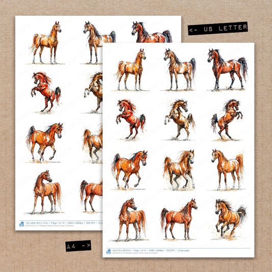 Realistic Arabian Horse Fussy Cut Sheets (DDD013713)