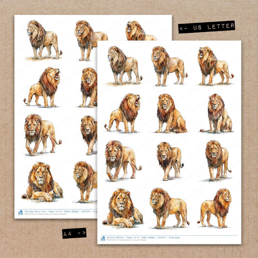 Realistic Male Lion Fussy Cut Sheets (DDD013720)