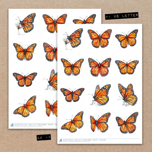 Realistic Monarch Butterfly Fussy Cut Sheets (DDD013721)