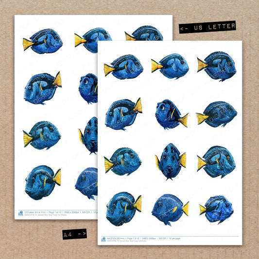 Stylised Blue Tang Fussy Cut Sheets (DDD013758)