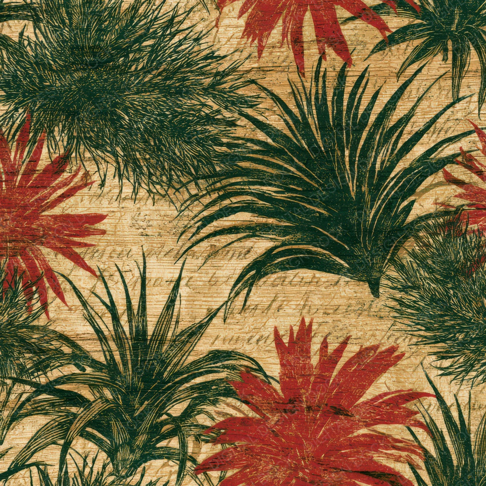 Pyrography Air Plants Crimson Cream Digital Paper Pack (DDD013937)