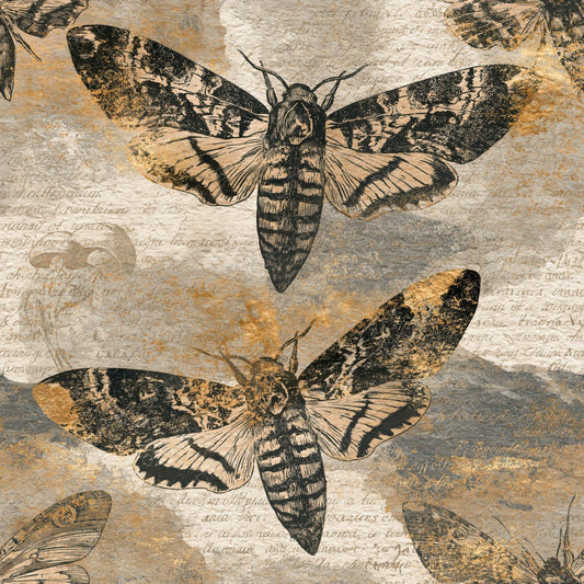 Etching Hawk Moths Sepia Parchment Digital Paper Pack (DDD014227)