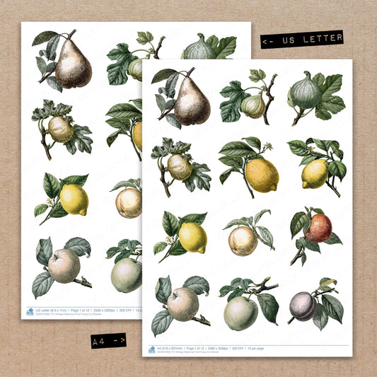 Vintage Botanical Fruit Fussy Cut Sheets (DDD014500)