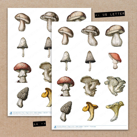 Vintage Botanical Mushroom Fussy Cut Sheets (DDD014503)
