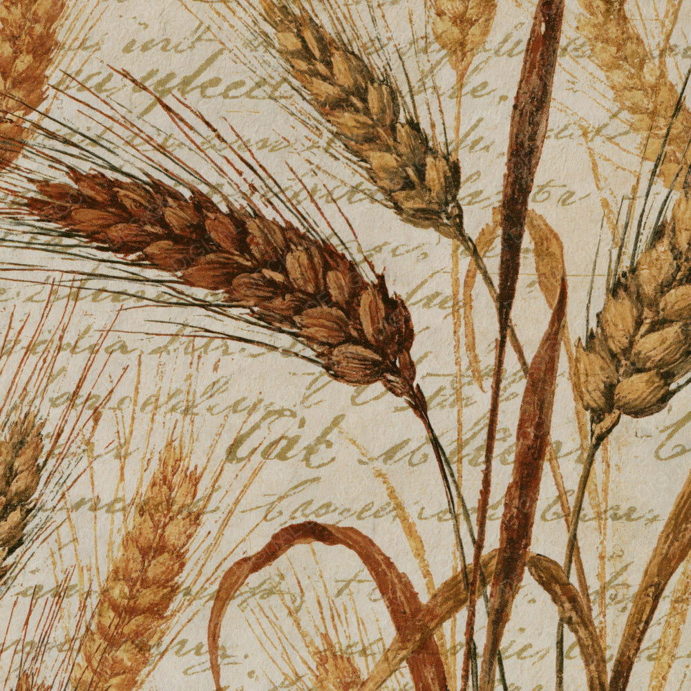 Scientific Wheat Rust Ochre Digital Paper Pack (DDD014900)