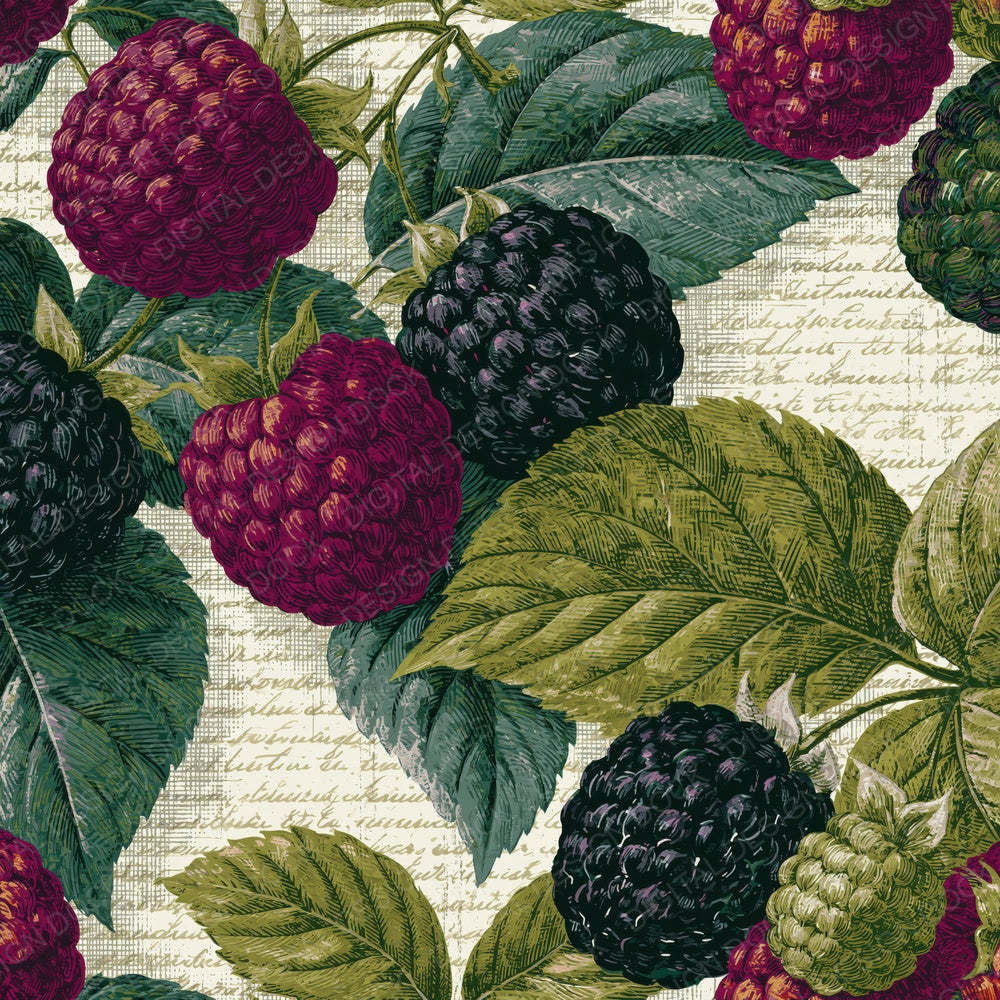 Op Art Blackberries Magenta Jungle Green Digital Paper Pack (DDD015116)
