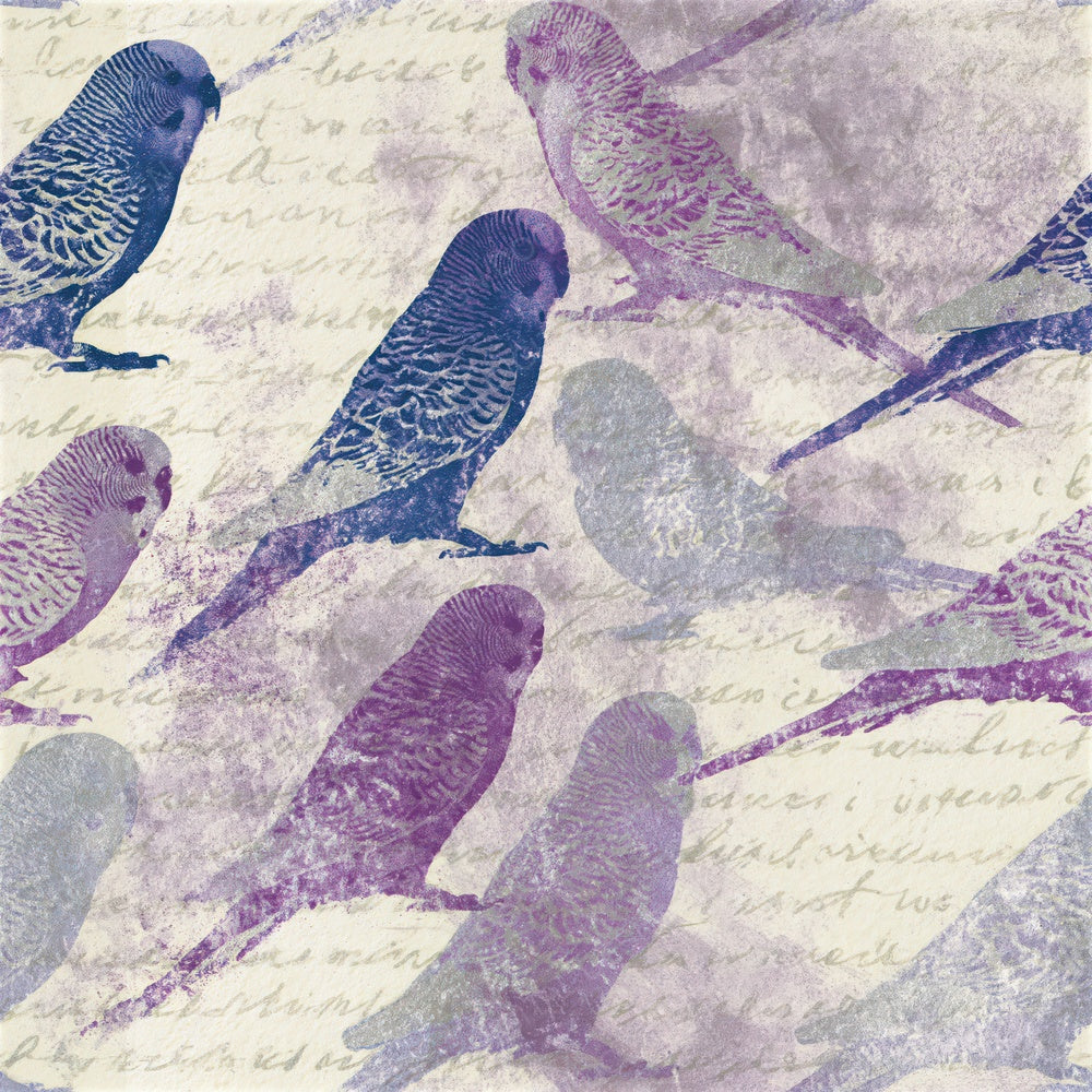 Monoprint Budgerigars Amethyst Seamless Digital Paper Pack (DDD015489)