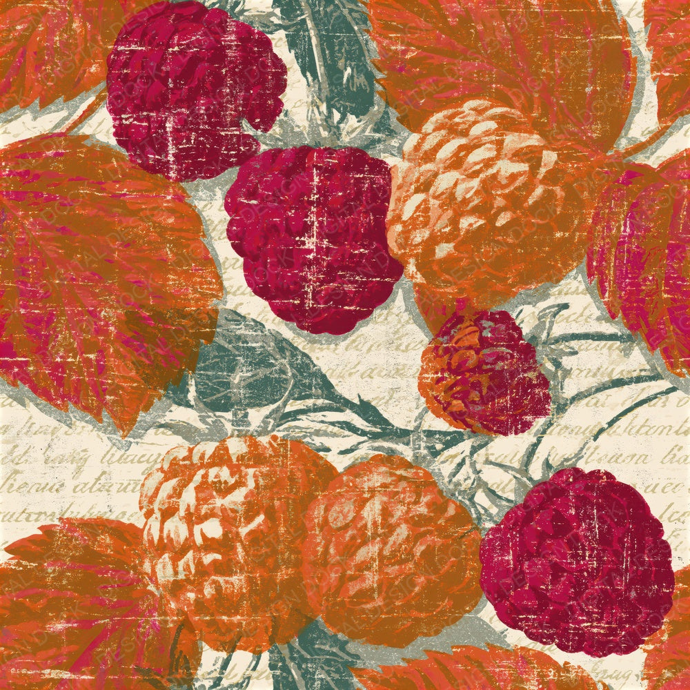 Woodcut Raspberries Amber Magenta Seamless Digital Paper Pack (DDD015604)