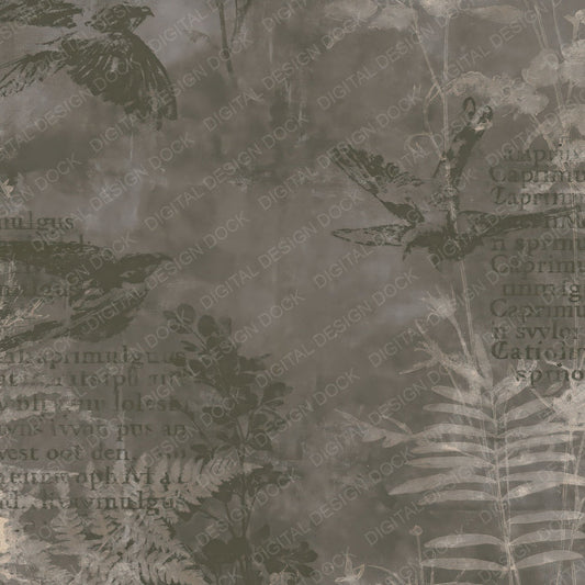 Single Nightjar Bird Twilight Grey Dead Leaf Umber Bone digital paper shown full size