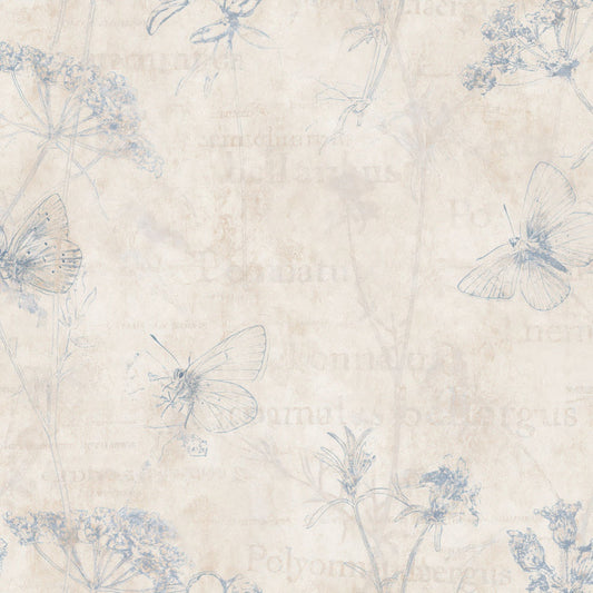 Single Adonis Blue Butterfly Insect Chalk Cream Electric Blue Bone digital paper shown full size