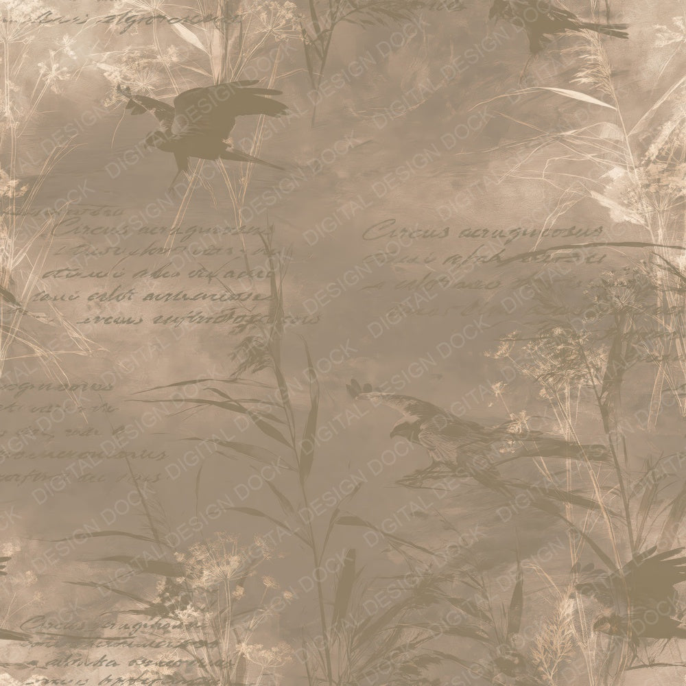 Another Marsh Harrier Bird Reedbed Brown Chestnut Wing Bone digital paper shown full size