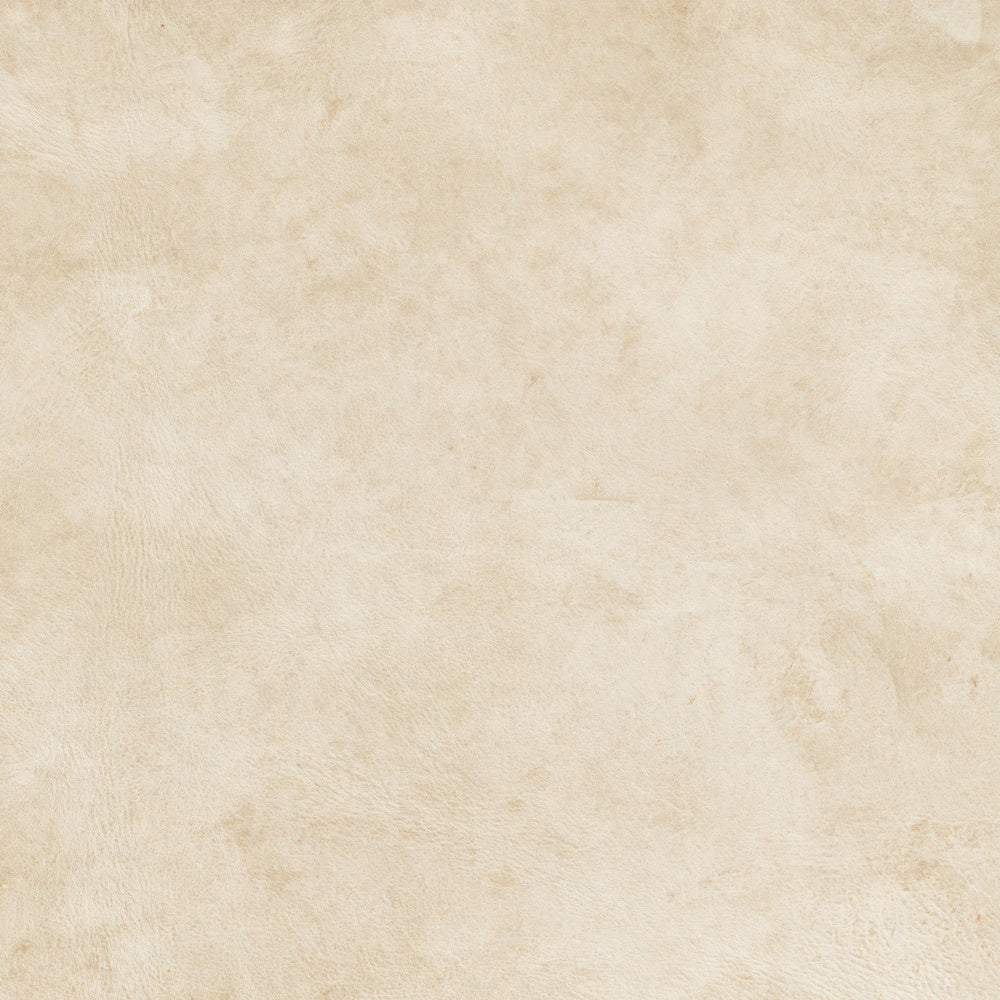 Another Aged Parchment Vellum Parchment Cream Aged Calfskin Bone digital paper shown full size