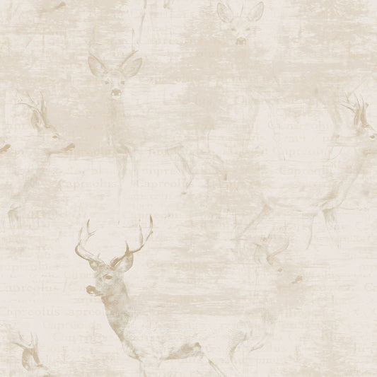 Single Roe Deer Buck Mammal Woodland Edge Cream Foxy Coat Bone digital paper shown full size