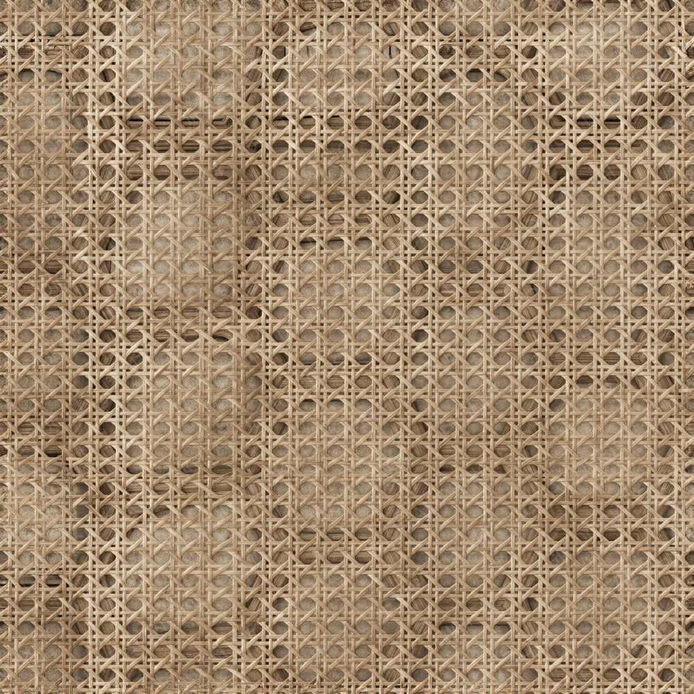 Another Cane Webbing Cane Honey Aged Rattan Tan Bone Seamless digital paper shown full size
