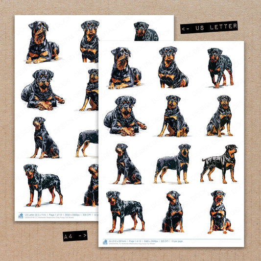 A4 and US Letter format comparison showing Rottweiler Watercolour Dog fussy cut pages for print and cut crafting