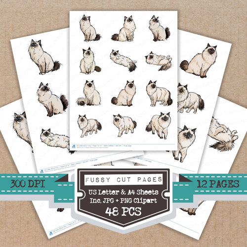 Ragdoll Watercolour Cat fussy cut printable sheets for junk journaling, scrapbooking, and paper craft projects