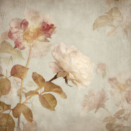 Antique Rose Floral Background Digital Paper Pack (DDD008829)