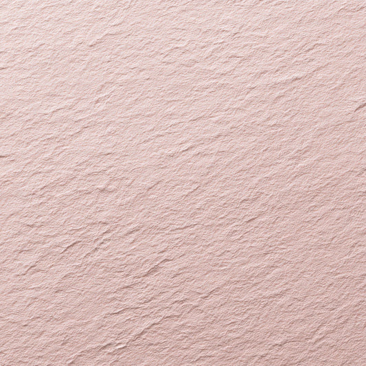 Blush Soft Paper Digital Paper Pack (DDD008814)