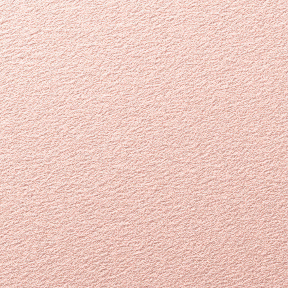 Blush Soft Paper Digital Paper Pack (DDD008814)