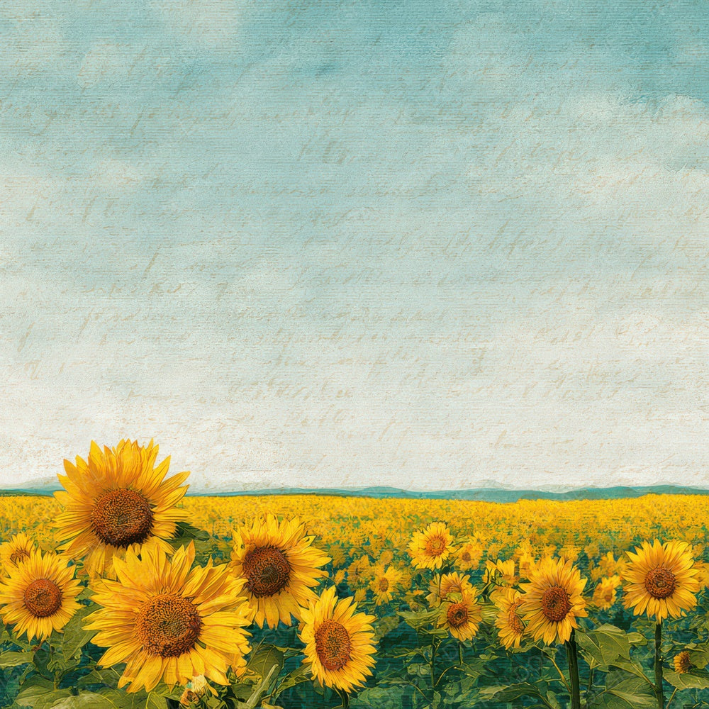 Bright Sunflower Field Scene Digital Paper Pack (DDD012312)