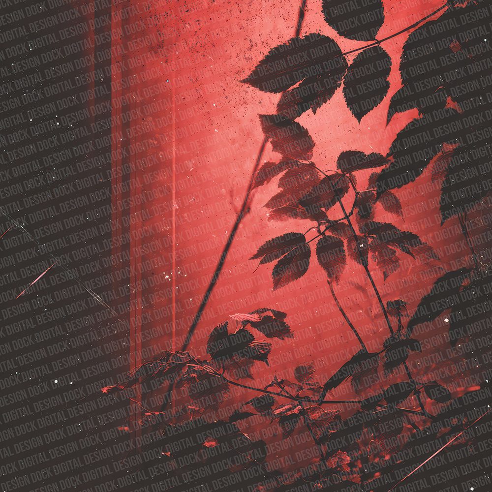 Burn Red Fade Digital Paper Pack (DDD000742)