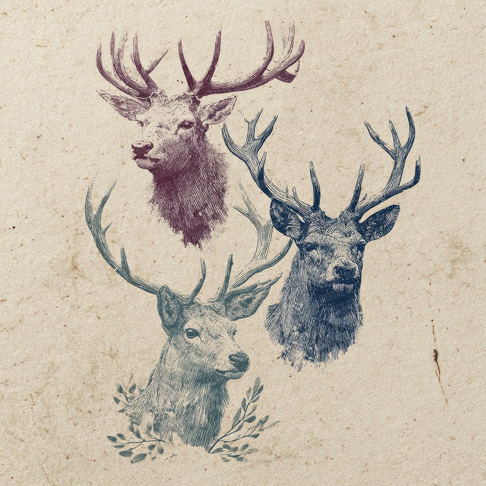 Christmas Retro Reindeer Digital Paper Pack (DDD000926)