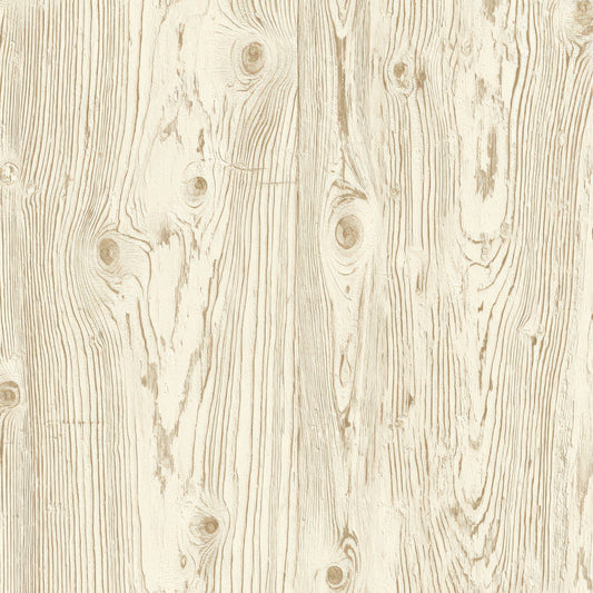 Cream Plywood Knots Digital Paper Pack (DDD008158)