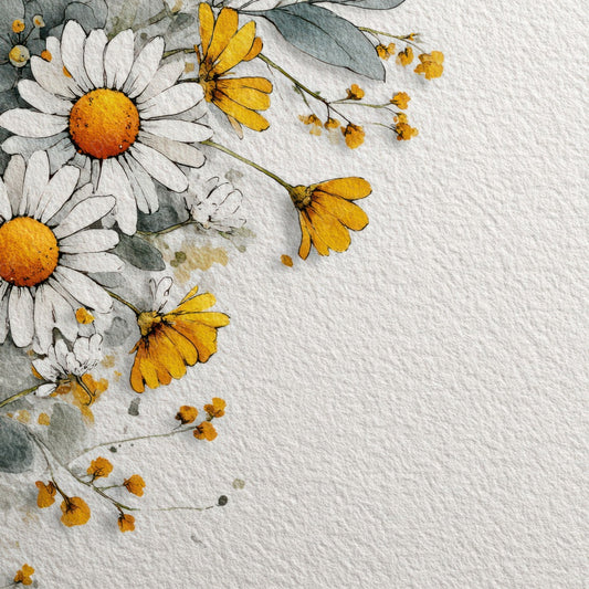 Daisy Floral Border Digital Paper Pack (DDD007874)