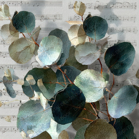 Eucalyptus Music Fade Digital Paper Pack (DDD007649)