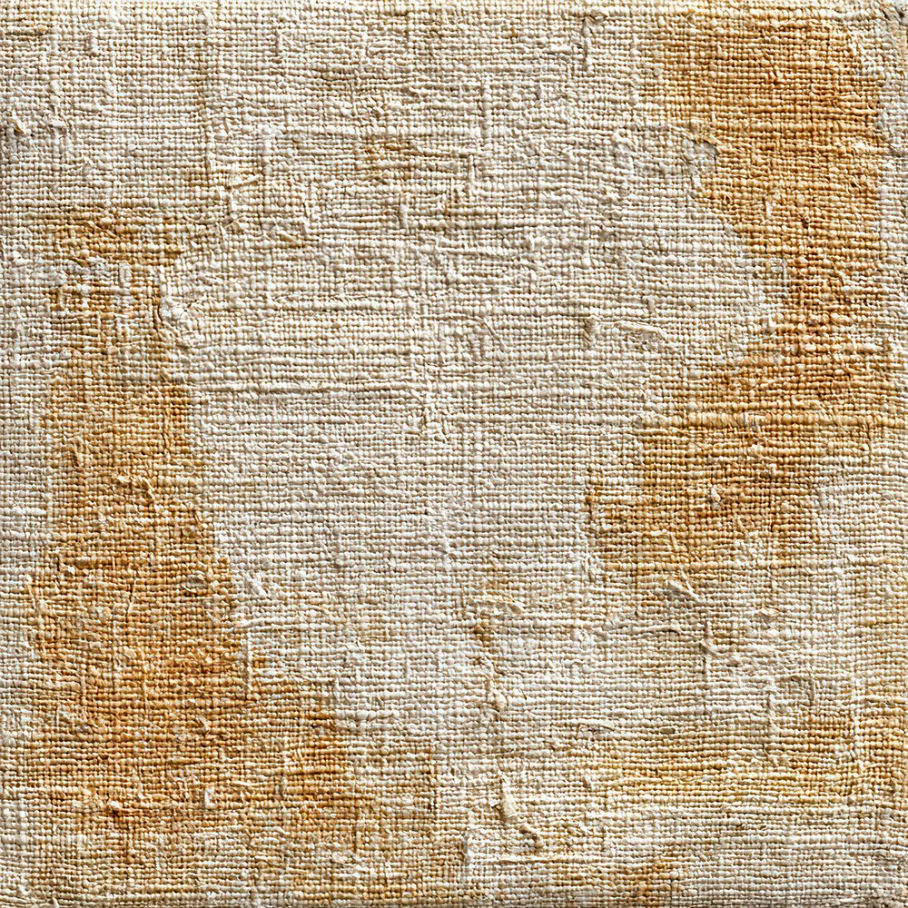 Fabric Canvas Tan Digital Paper Pack (DDD001634)