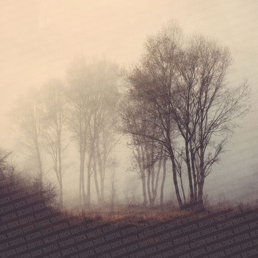 Fog Forest Layers Digital Paper Pack (DDD001744)