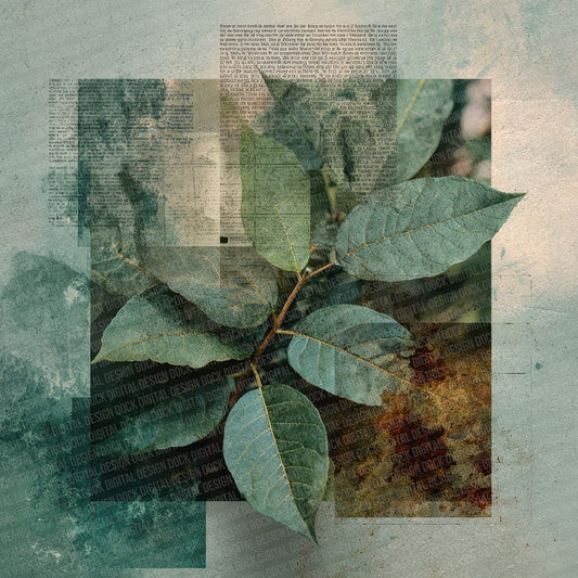 Forest Chestnut Autumn Script Digital Paper Pack (DDD001769)
