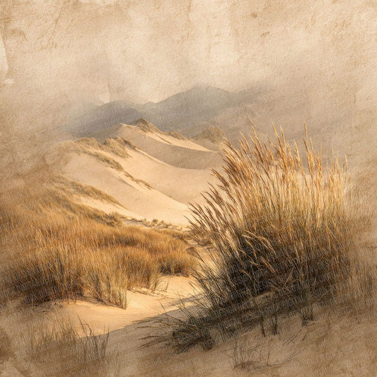 Golden Dune Script Grass Digital Paper Pack (DDD001895)