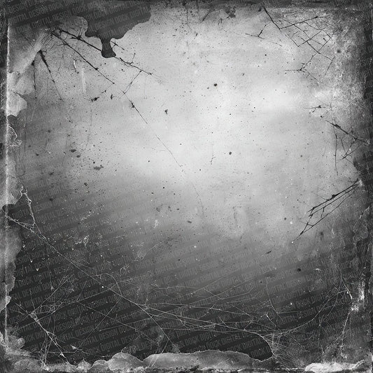 Halloween Charcoal Web Digital Paper Pack (DDD001976)