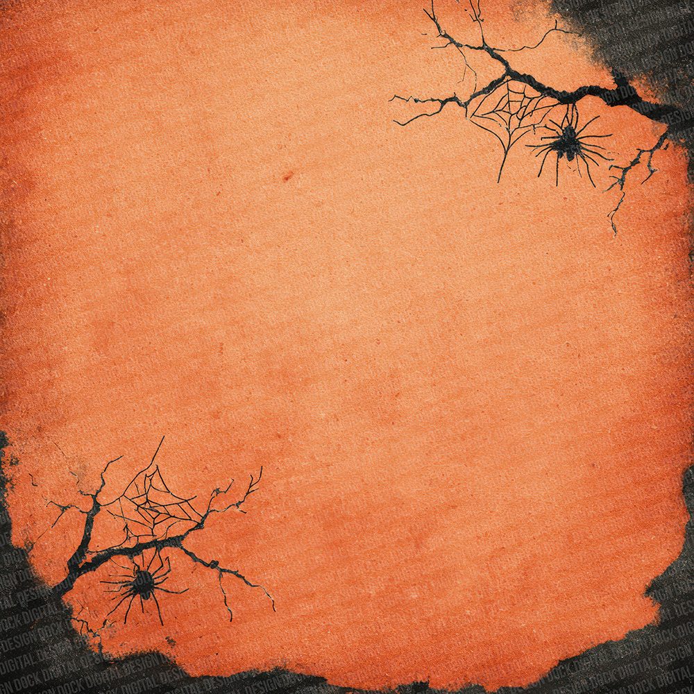 Halloween Web Overlay Digital Paper Pack (DDD001987)