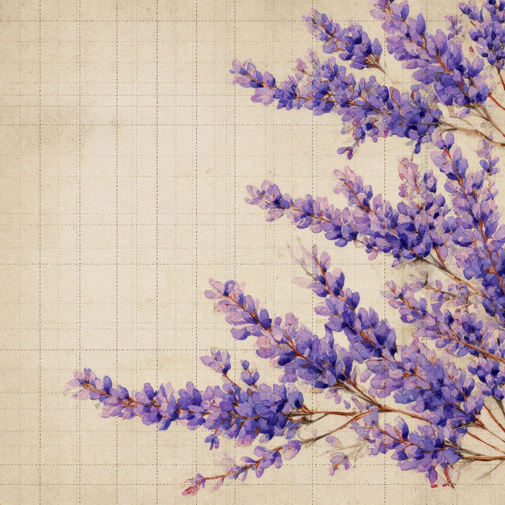 Lavender Parchment Grid Digital Paper Pack (DDD007670)