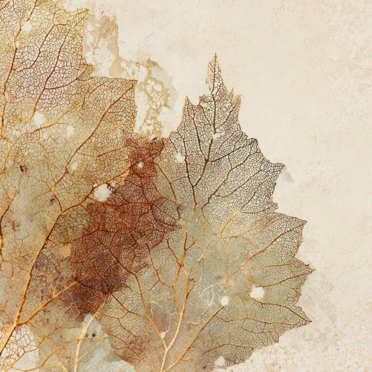Leaf Skeleton Vein Texture Digital Paper Pack (DDD012332)