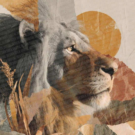 Lion Savannah Moodboard Digital Paper Pack (DDD002377)