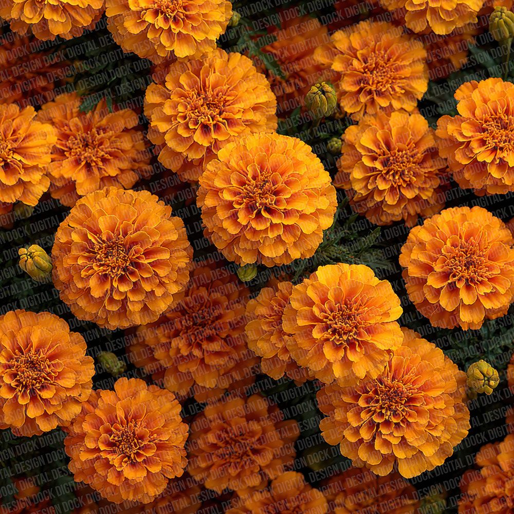 Marigold Overhead Fill Digital Paper Pack (DDD002432)