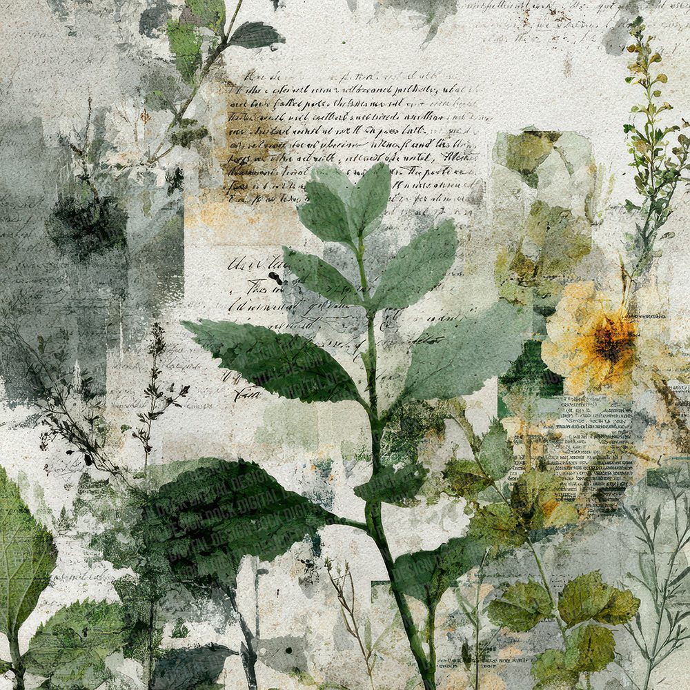 Moss Script Field Digital Paper Pack (DDD002616)
