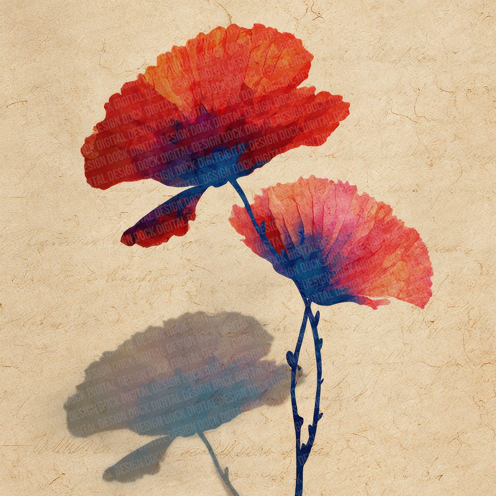 Offset Poppy Block Digital Paper Pack (DDD002802)