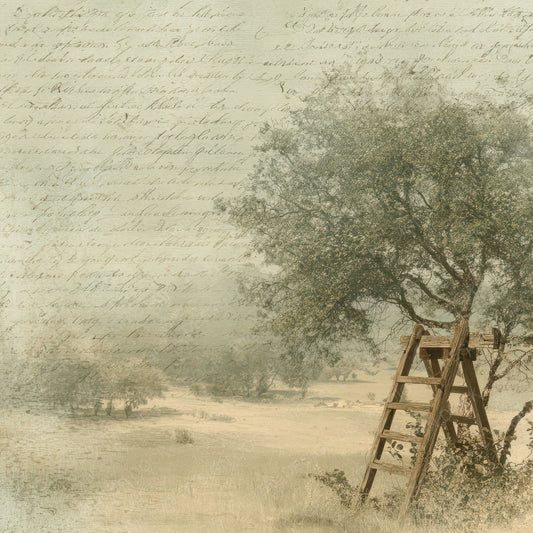 Old Orchard Ladder Tree Scene Digital Paper Pack (DDD012293)