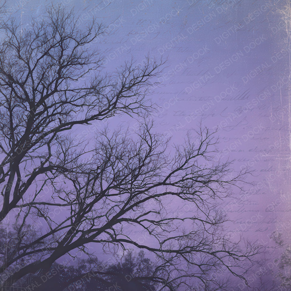 Old Twilight Tree Silhouette Scene Digital Paper Pack (DDD012319)
