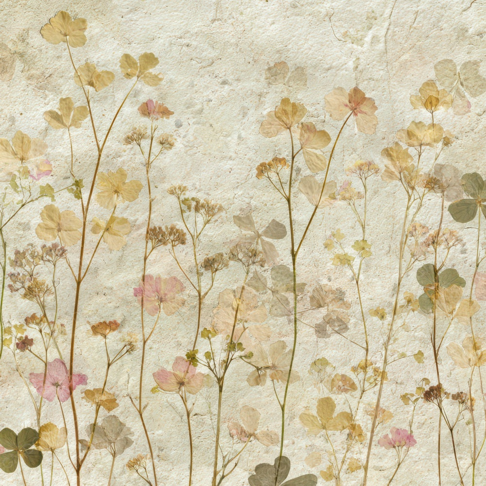 Pressed Herbarium Wildflowers Digital Paper Pack (DDD008560)