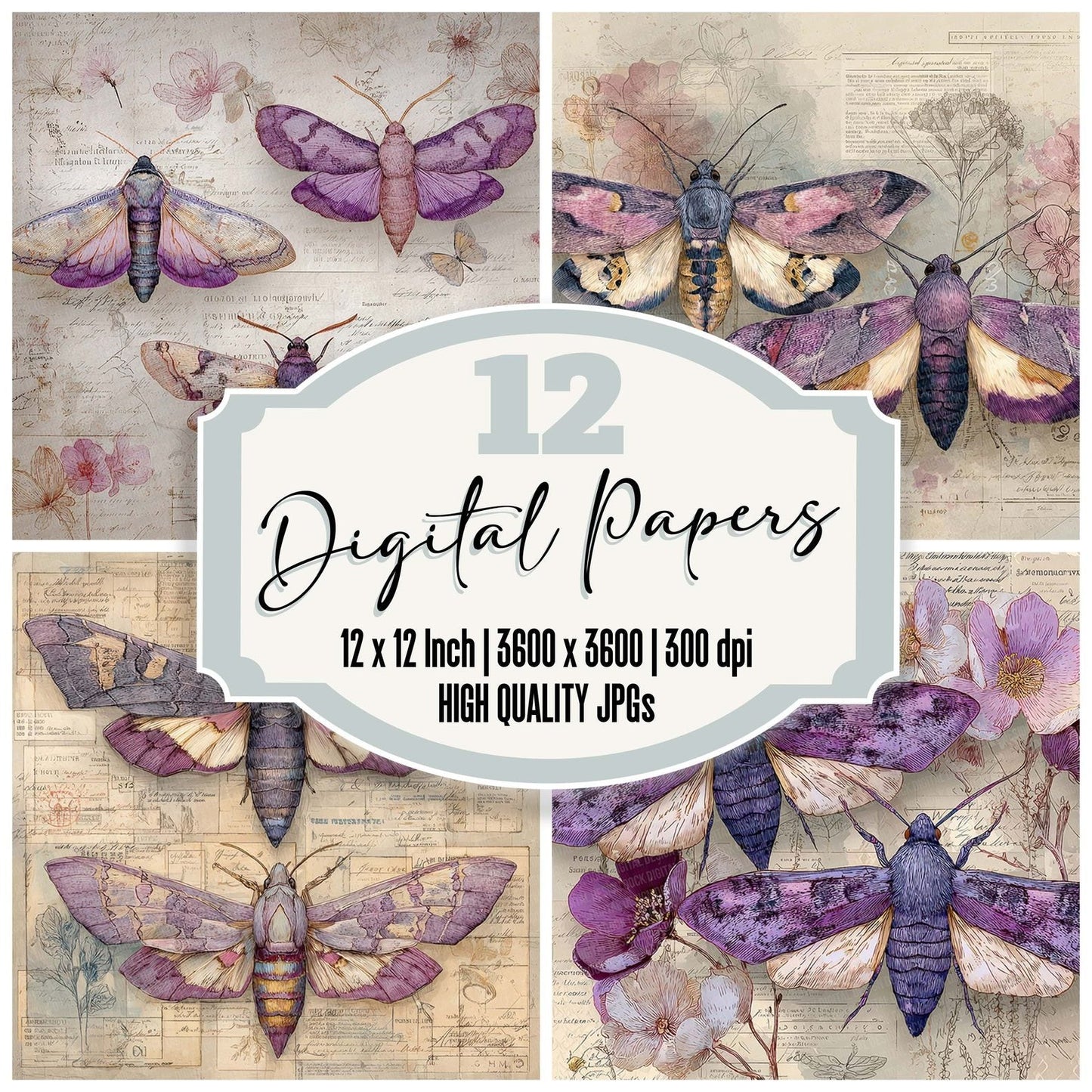 Purple Moth Specimen Digital Paper Pack (DDD007711)